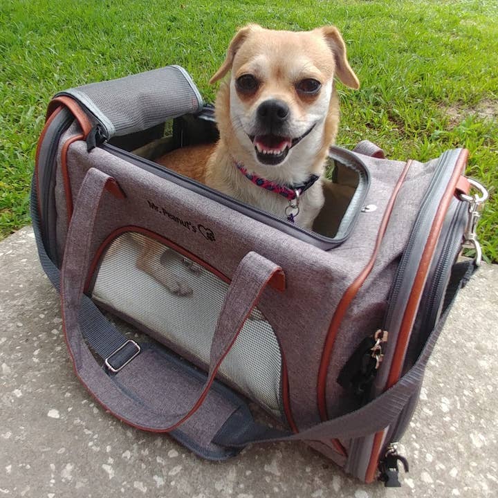 Mr. Peanut's - Wholesale Pet carrier – Cat/dog - Mr. Peanut's Gold Series Standard Size Airline Compliant Pet Carrier14