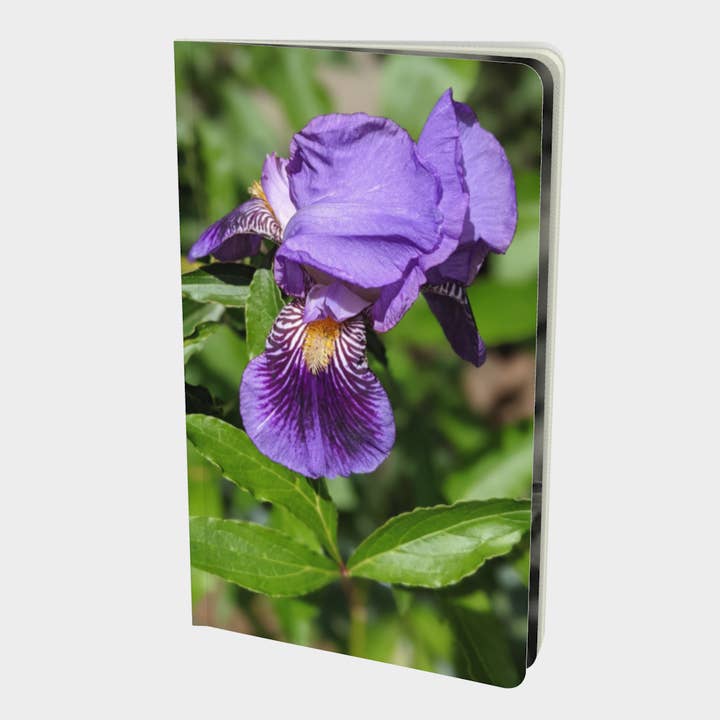 Small | Notebook | Iris for wholesale by Creative Artifacts HQ