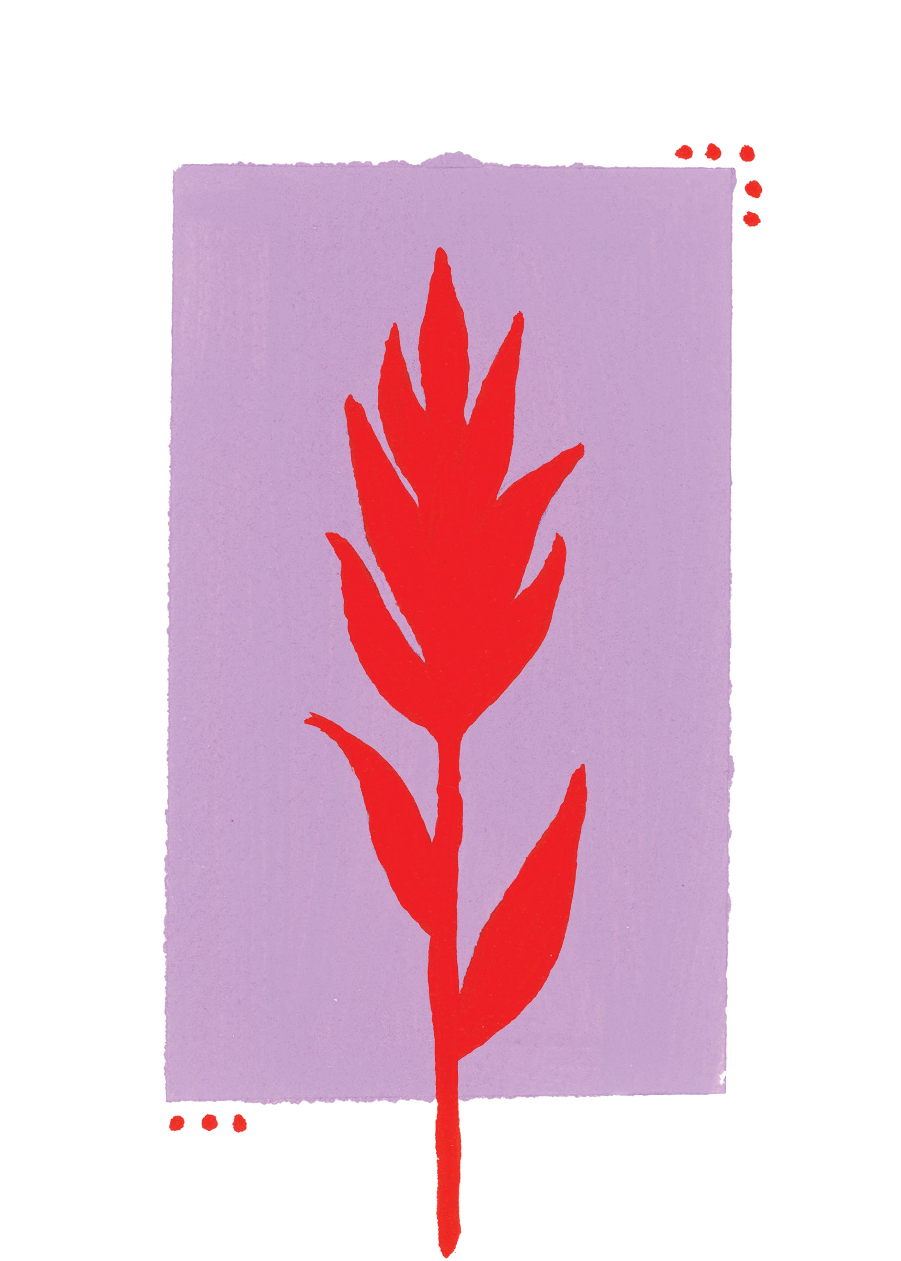 Mel K. Olrich Art - Wholesale Art Print - Colorblock Indian Paintbrush, red & purple, western wall art4