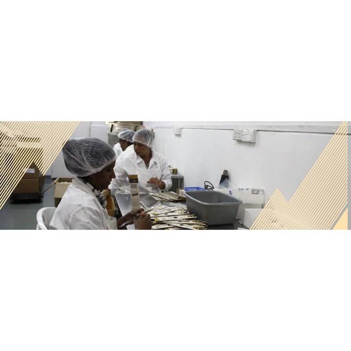 Taste of Paradise – Großhandel Vanille-/Fruchtextrakt – Vaynilla Bourbon Vanilleschoten (50 Stk. - 12-13cm) 100% natural aus Madagaskar4