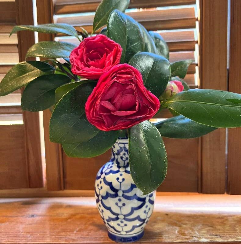 Sea Island Imports, Inc. - Wholesale Vase - Vase, Tiny Round Urn3