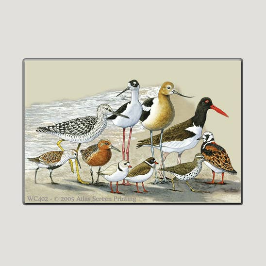 Imán Shorebirds de 2 x 3 pulgadas para venta al por mayor de Atlas Screen Printing