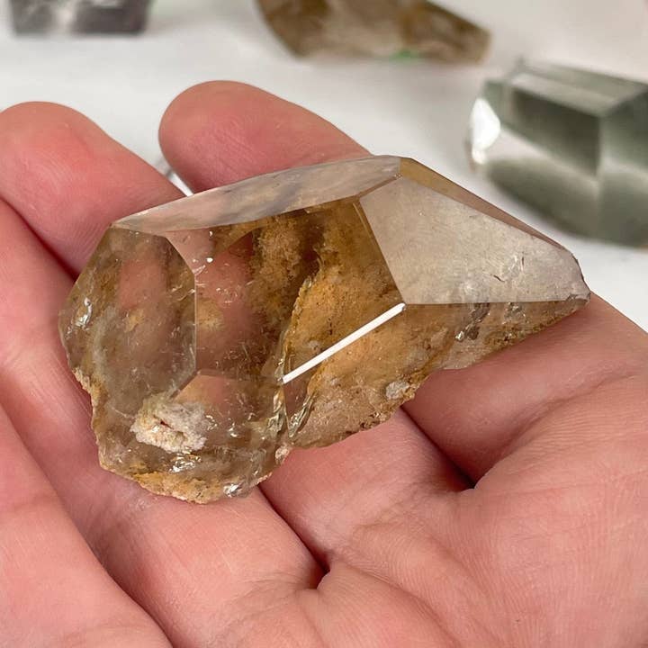 Trädgårdskvarts Lodalit Polerad Kristallprisma DU VÄLJER #3 för wholesale av Rock Paradise