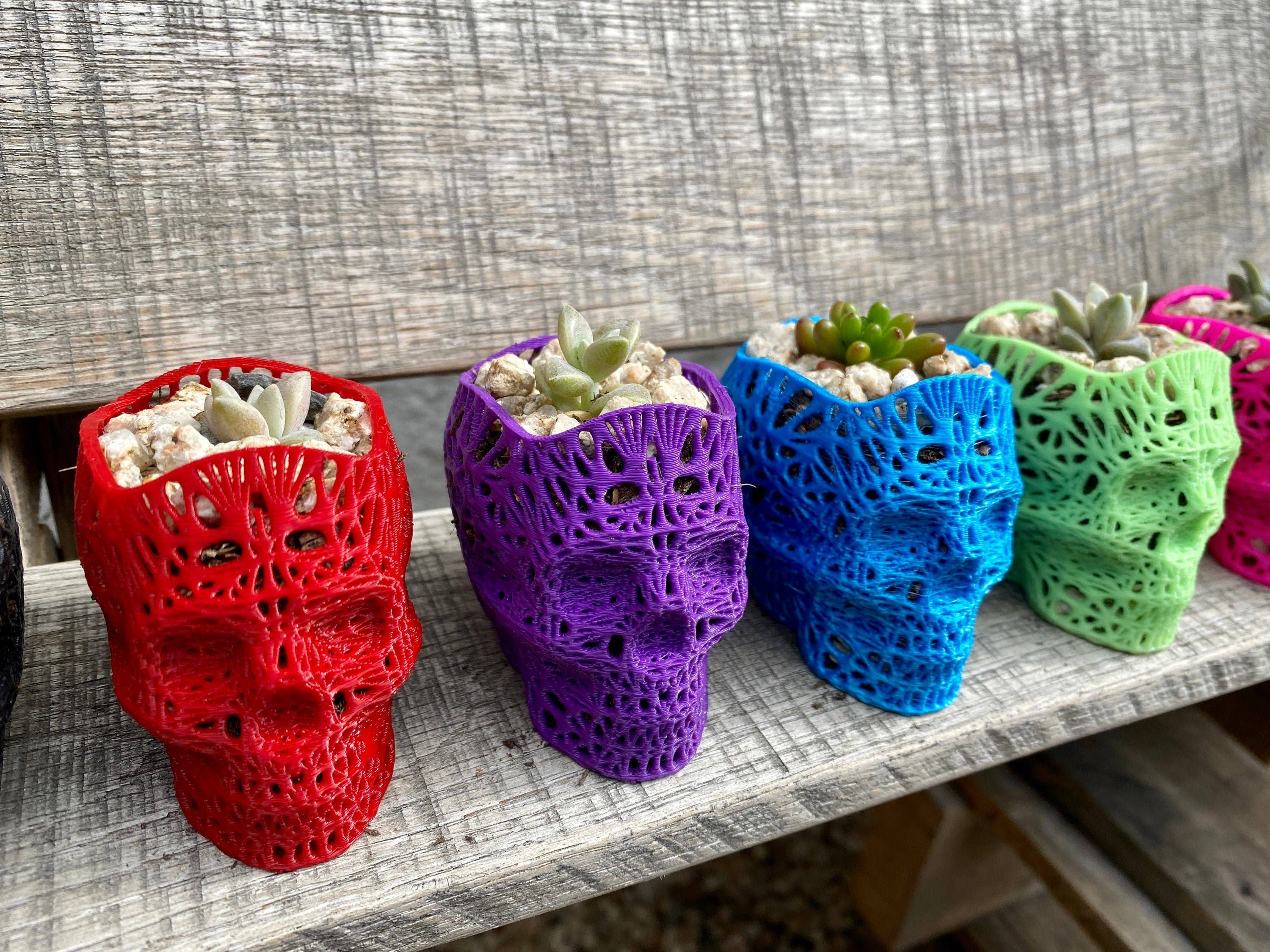 NumanPrints - Wholesale Plant Pot - 3D Printed Succulent Skull Planter Pot Small Indoor3