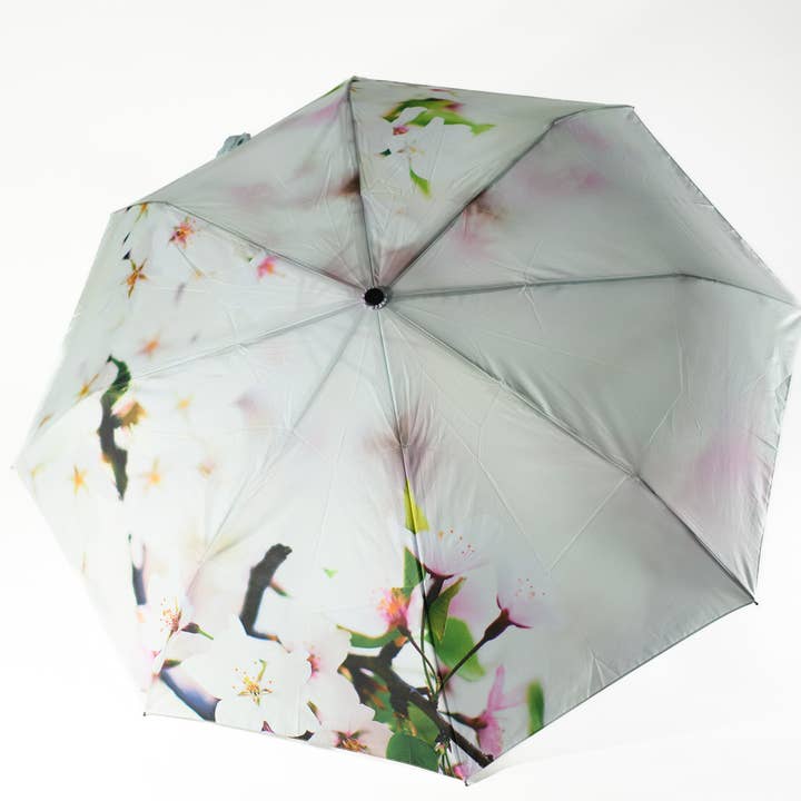 Cherry Blossom Umbrella (NEW!) for wholesale by Bird&Fish, Co.
