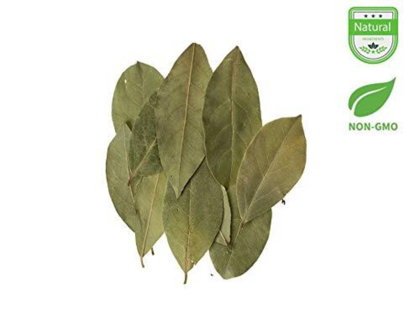 Aiva Products - Wholesale Herbs - Bay Leaves0