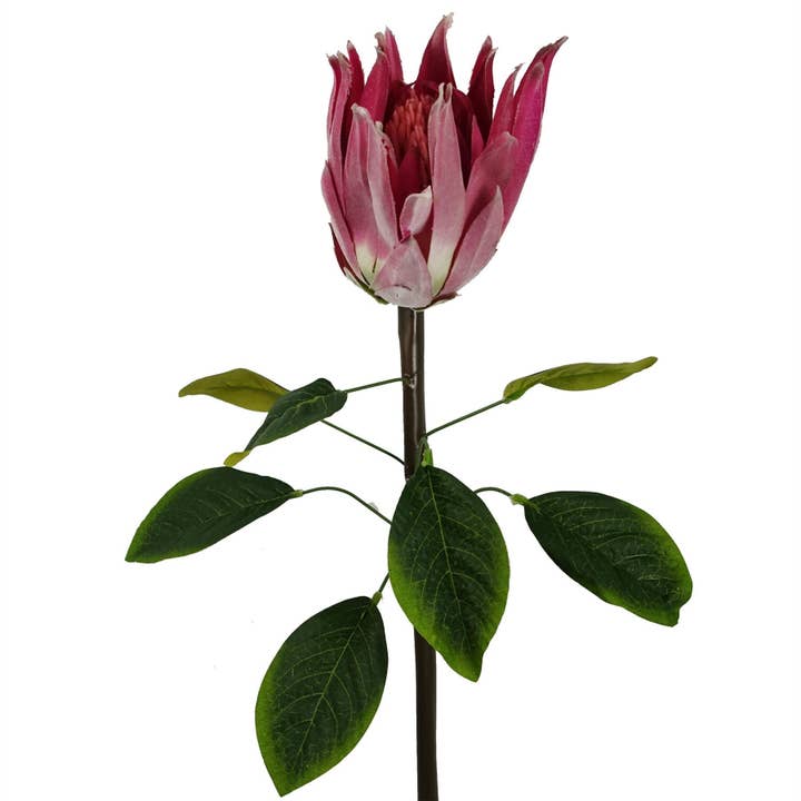 Leaf Design UK LTD โ wholesale Artificial flowers โ Pack of 6 x 65cm Protea Sugarbush Flower Stem - Pink9