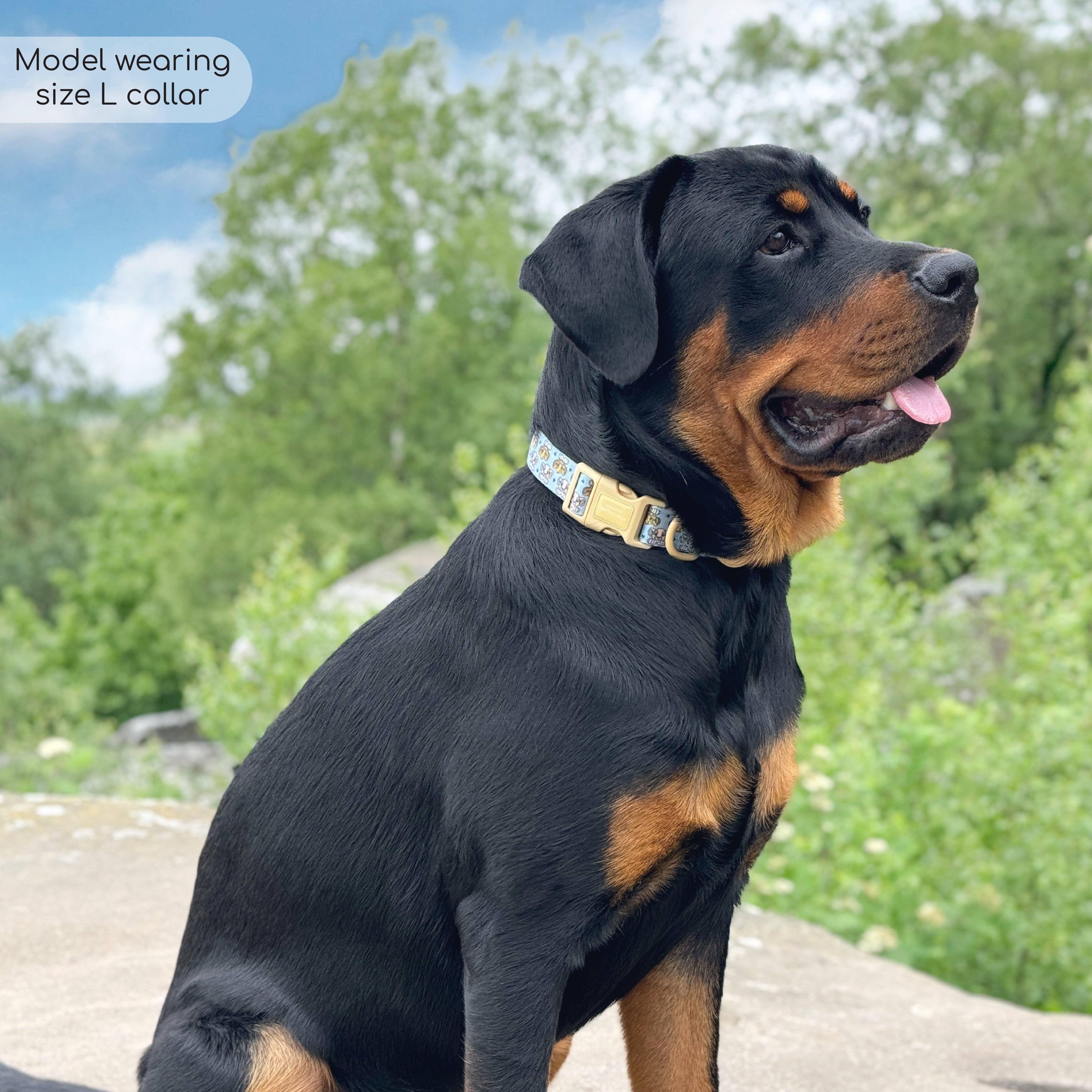 Pawsome Paws - Vendita all'ingrosso Collare - Cani - Collare Disney© - Amici del leone12