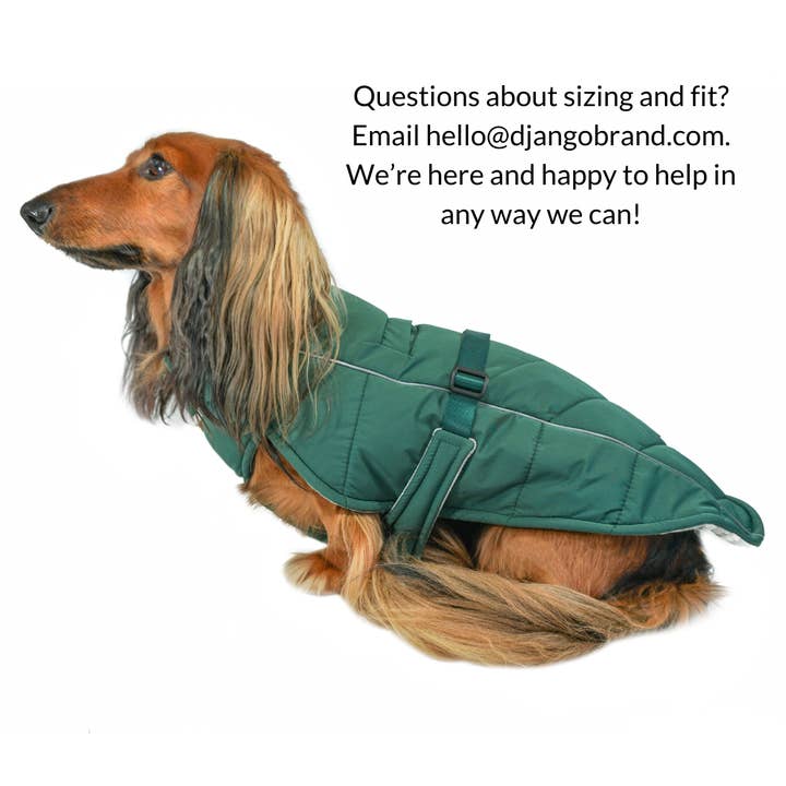 DJANGO - Wholesale Pet coat – Dog - Whistler Winter Dog Coat - Lafayette Green11