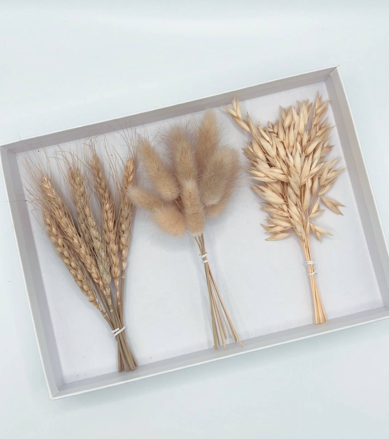 Wholesale Mini Dried Flower Bakers Bundles for your shop Faire UK