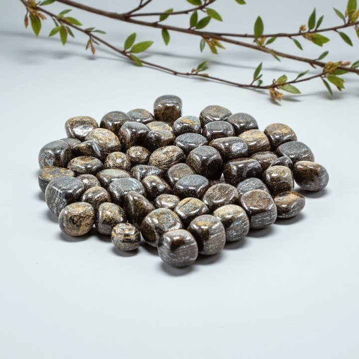 Bronzite Polished Tumbled 10-20mm 1KG/2lbs for wholesale by Quasar Gems USA