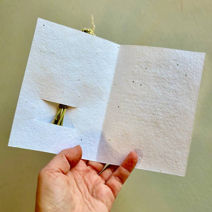 The Gardeners Wife - Wholesale Thank You Card - Wildflower Seed Card + Tiny Bouquet 1