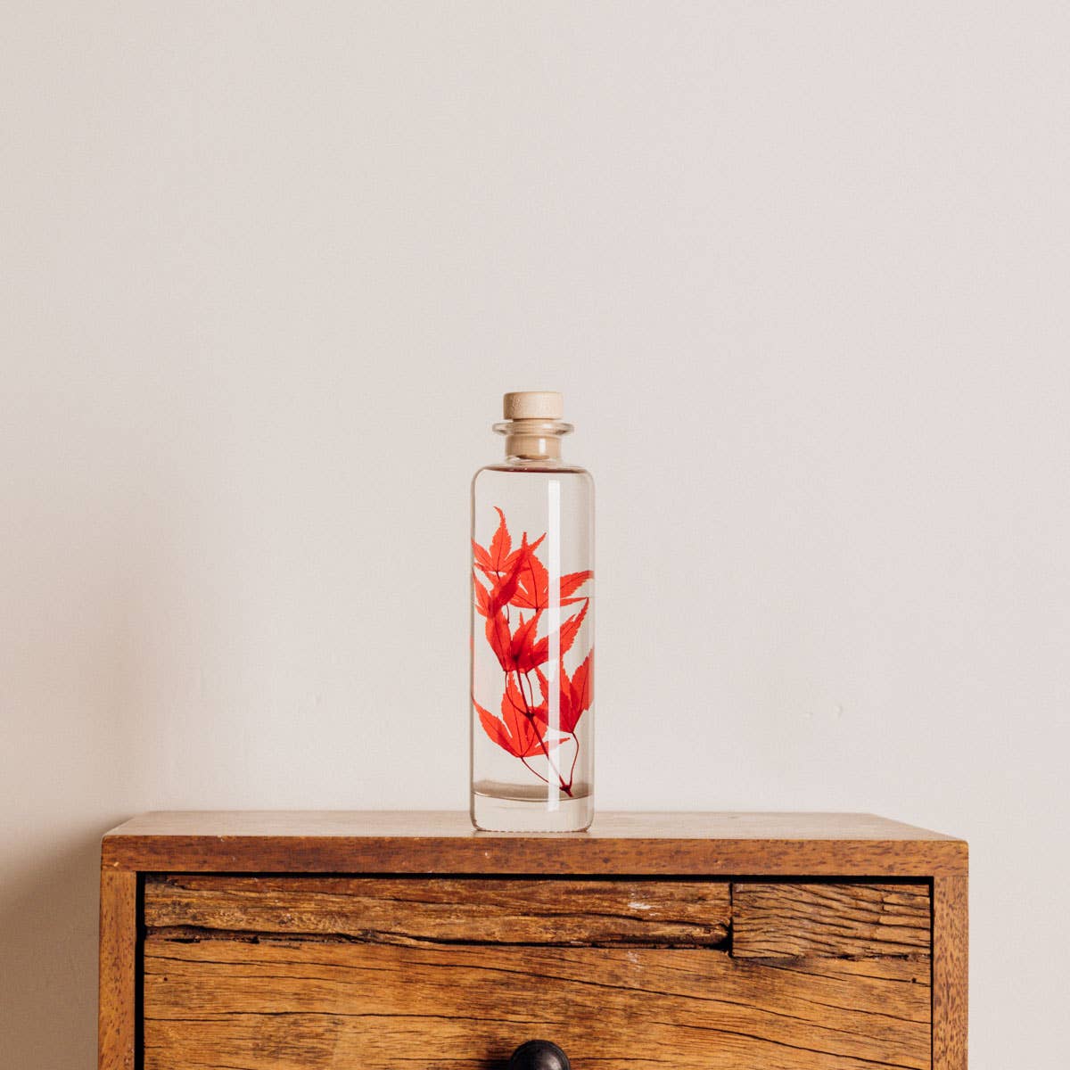 Theophile Berthon - Wholesale Live Plant - Red Maple Herbarium submerged plant2