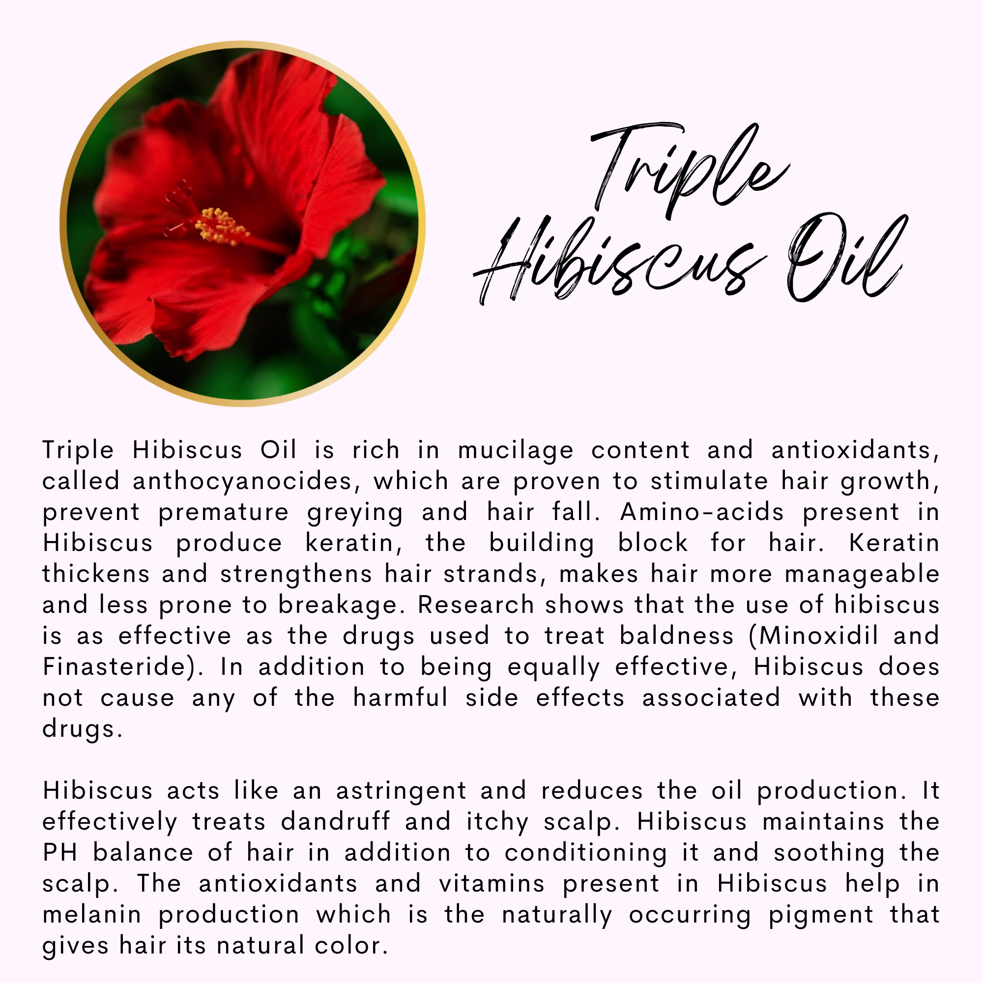 The Sacred Essence - Wholesale Hair Serum - CHAKRA - Hibiscus Trinity Ayurveda Hair Serum3