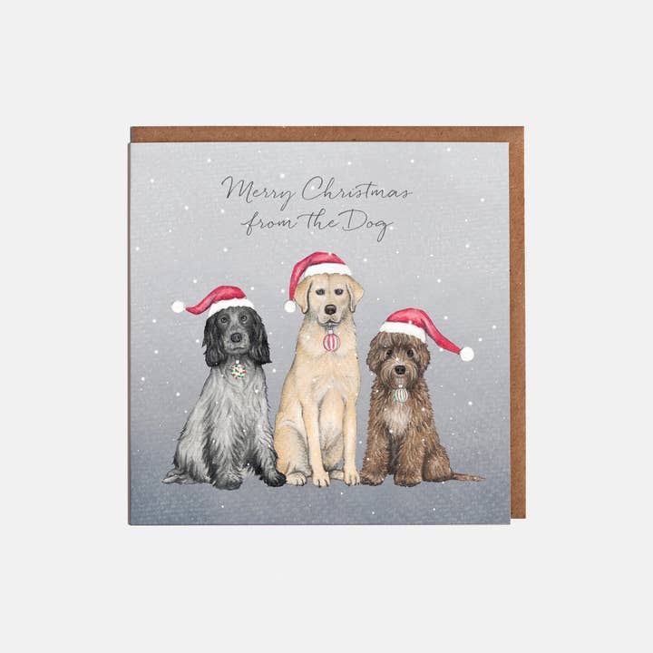 Tarjeta de Navidad de Dogs In Hats — Merry Christmas from The Dog para venta al por mayor de Lottie Murphy