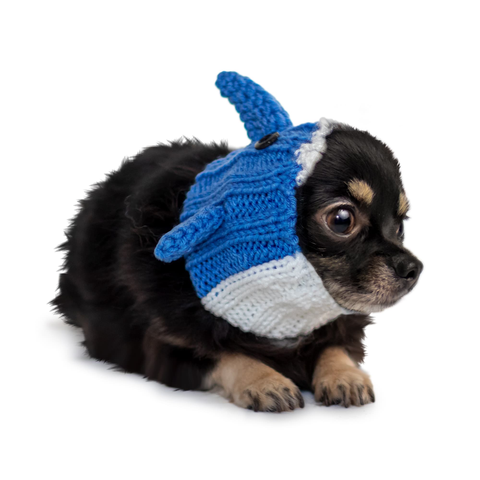 Zoo Snoods - Wholesale Pet Snood - Dog - Baby Shark Dog Snood0