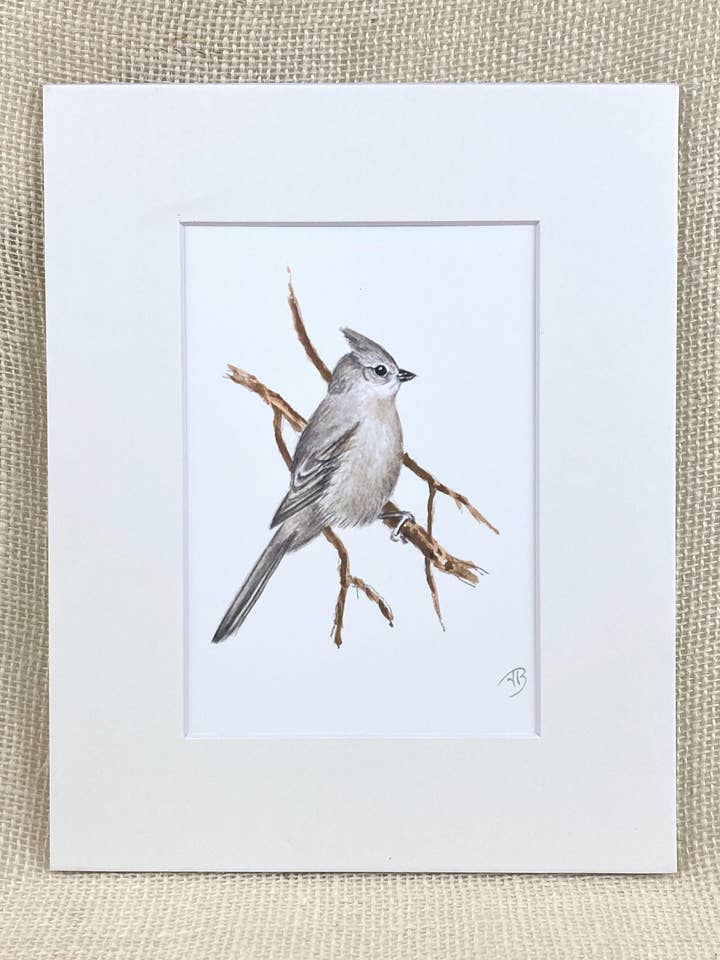 Titmouse Matted Print, Arkivtryk, Fuglemaleri for engroshandel hos Streetlightbirds