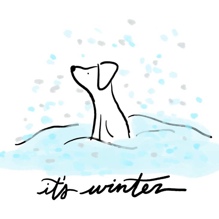 Anna Whitham Co. - Wholesale Season's Greetings Card - It's Winter Dog Greeting Card