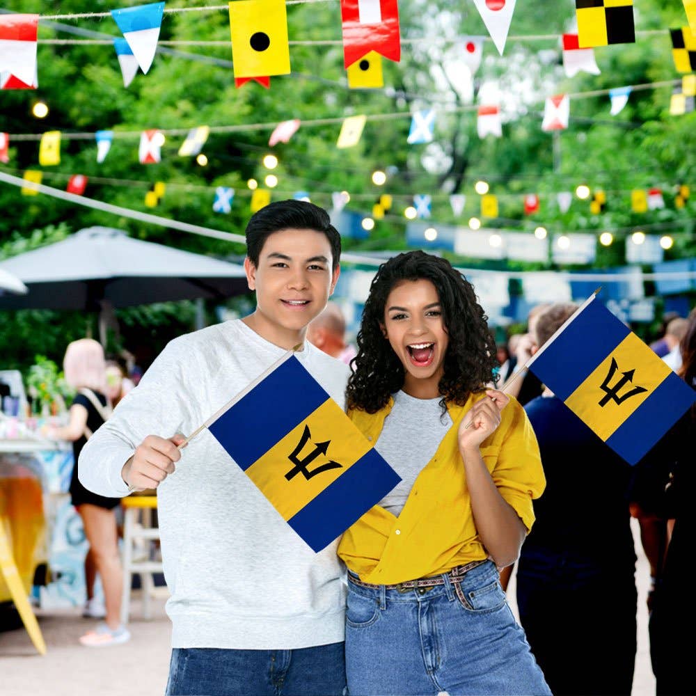 Flags Importer - Vente Drapeaux - Drapeau de Barbade 12x18 pouces avec bâton1