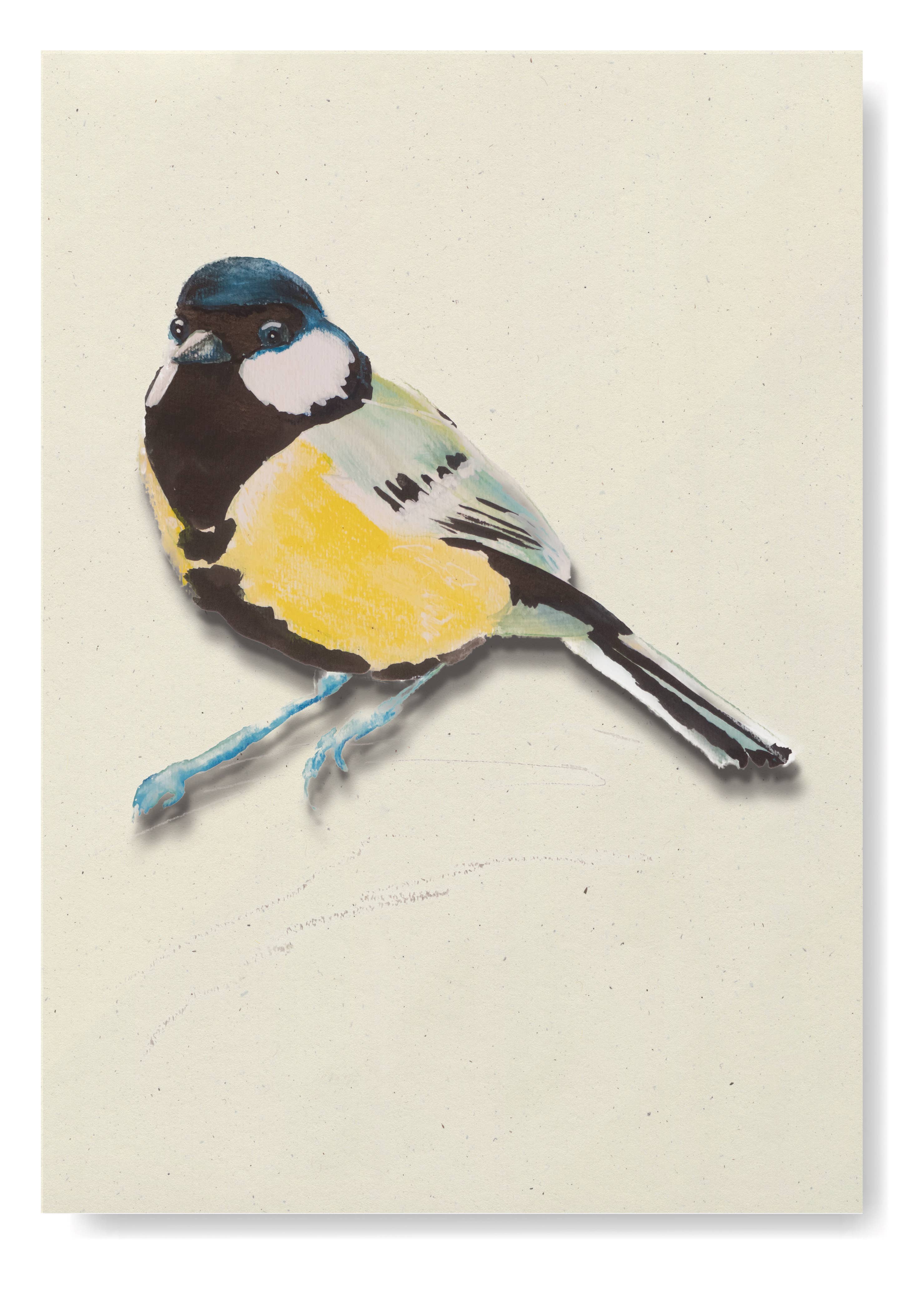 Studio Angelart - Wholesale Stationery/Notecard Set - Bird Greeting Cards Set - 12 pieces6