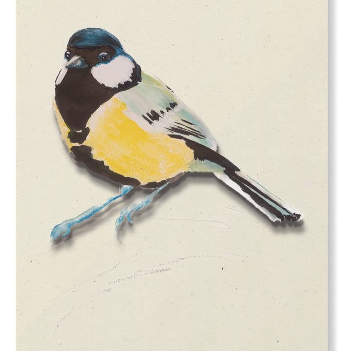 Studio Angelart - Wholesale Stationery/Notecard Set - Bird Greeting Cards Set - 12 pieces6