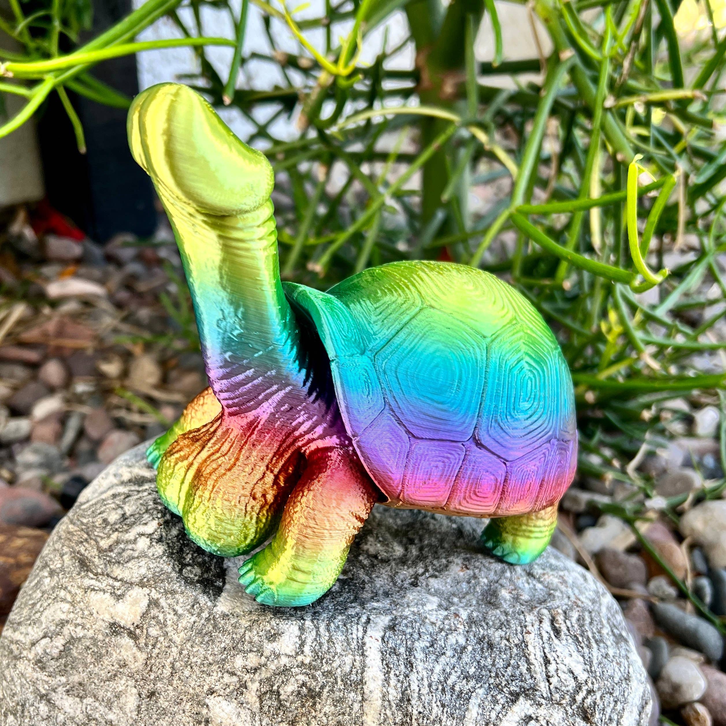 NumanPrints - Vendita all'ingrosso Regalo divertente/originale - Festa di addio al nubilato con la modella Dick Turtle Tortoise6