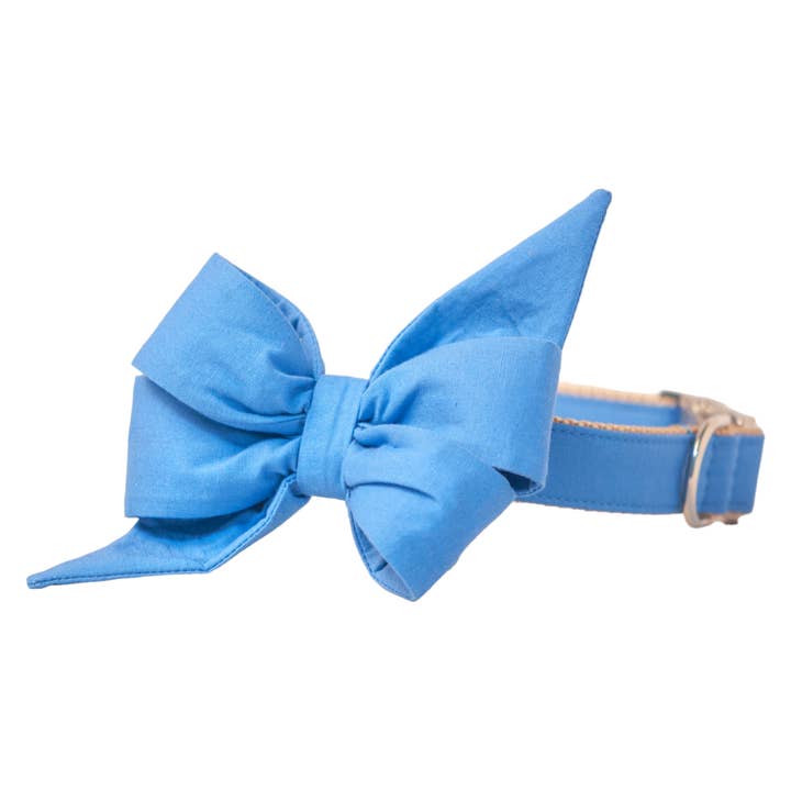Collier pour chien Copen Blue Belle Bow pour la vente par Crew LaLa