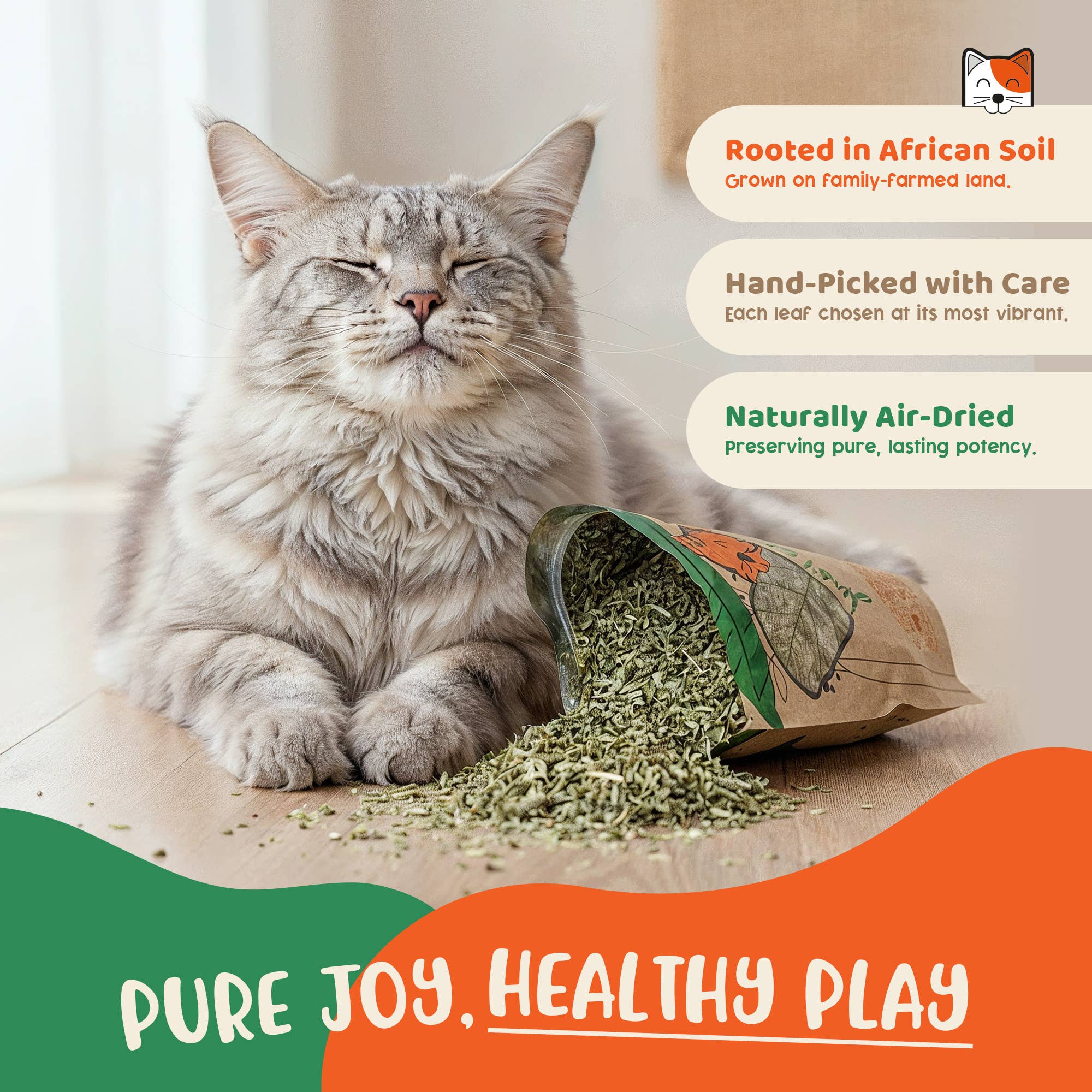 Just Catnip – wholesale Catnip – Organic Catnip | Cat Treat | Cat Nip | Gift for Pets2
