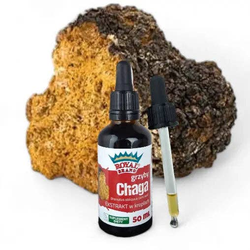 Ekstrakt chaga krople 50 ml (Inonotus obliquus) Adaptogeny Suplement wyciąg z grzybów chaga krople for wholesale by Royal Brand