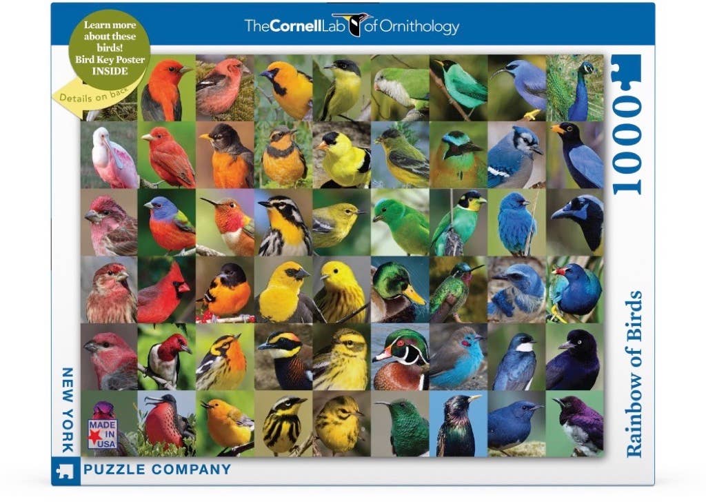New York Puzzle Company - Wholesale Puzzle - Adult - Rainbow of Birds - 1000 Piece Jigsaw Puzzle1