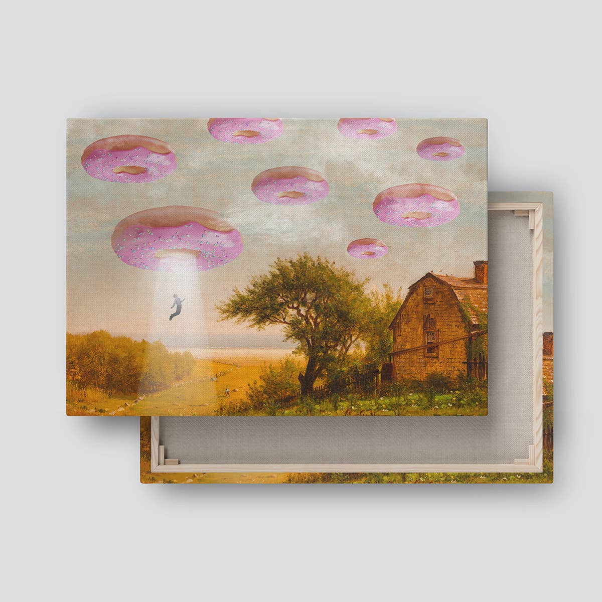 Dikhotomy - Wholesale Art Print - Lienzo impreso de invasión de donuts1