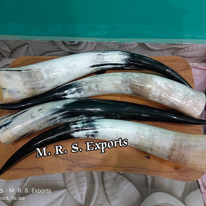 High Quality Viking Drinking Horns At Affordable Prices for wholesale by M. R. S. EXPORTS