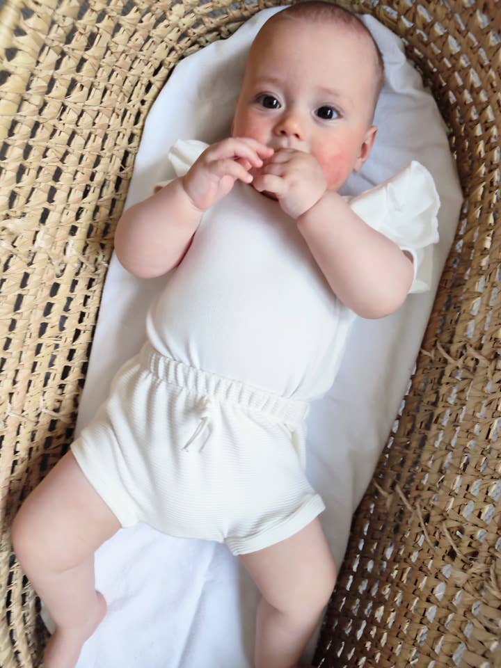 Neutrale roomwitte geribbelde bloeiers voor wholesale door Petiteaude