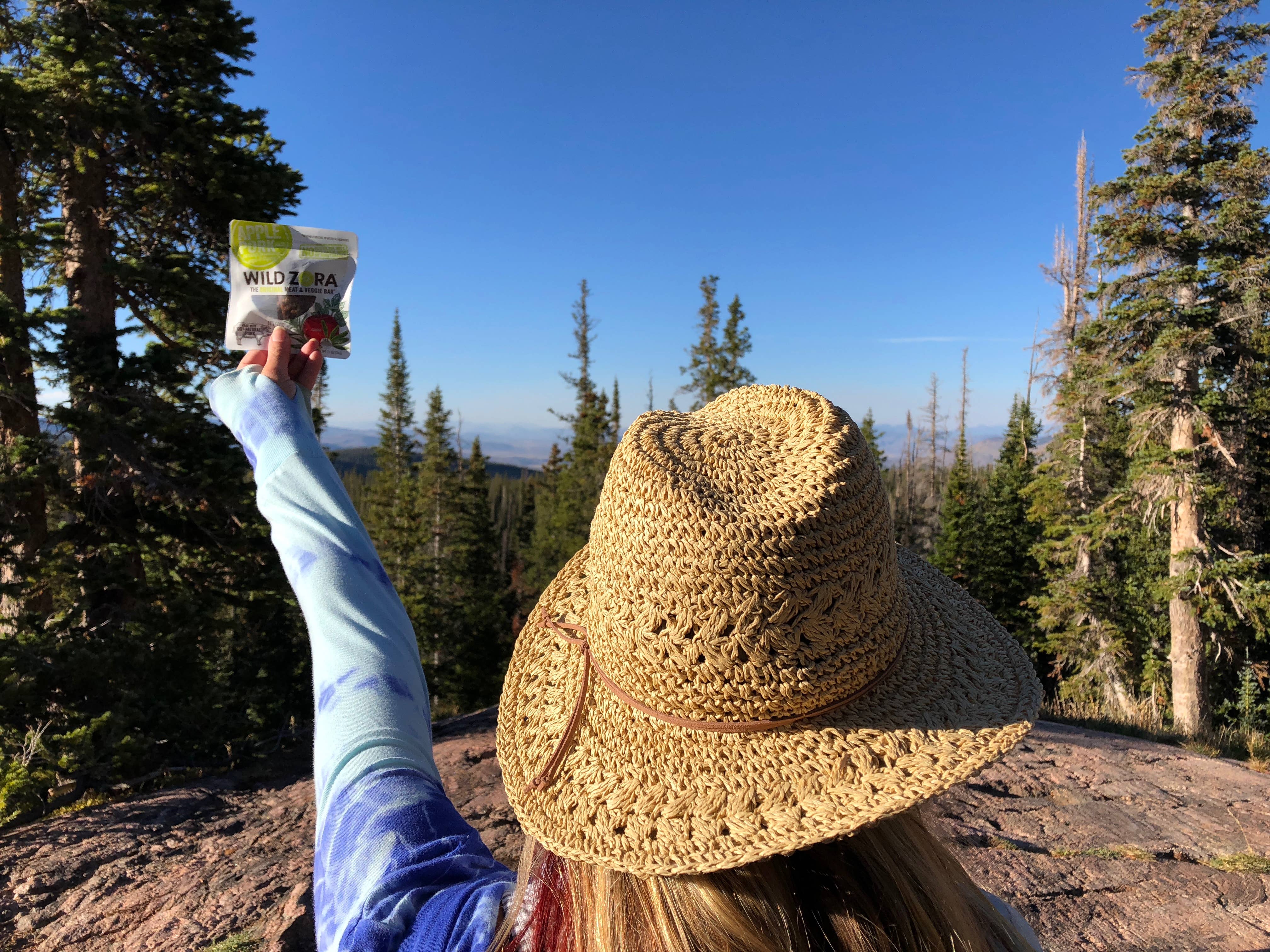 Wild Zora - Wholesale Shelf Stable Prepared Meal - Apple Pork Bar 10 Pack5