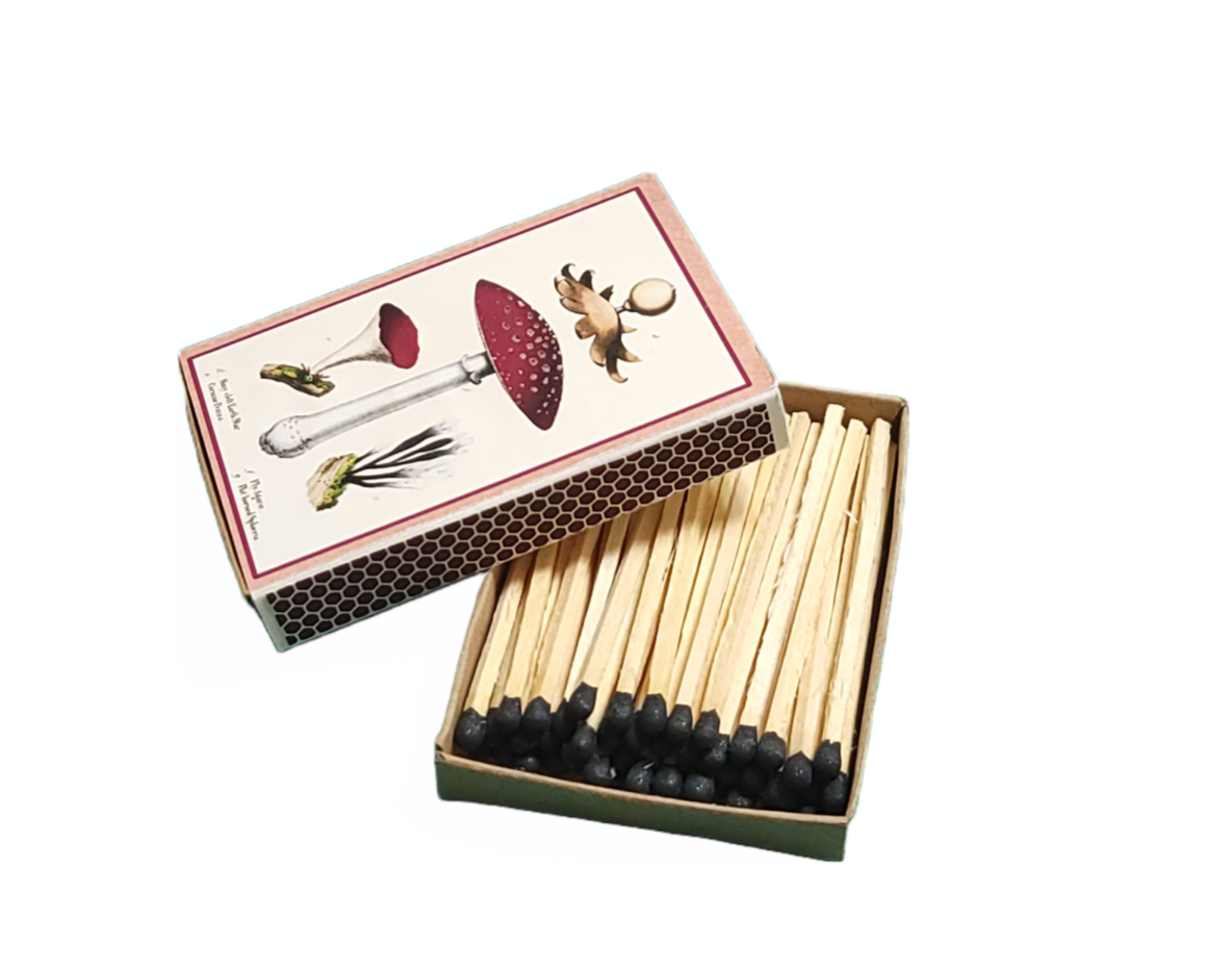 Superior Dry Goods - Wholesale Matches - "Mushrooms!" Handmade Decorator Matchbox Lot6