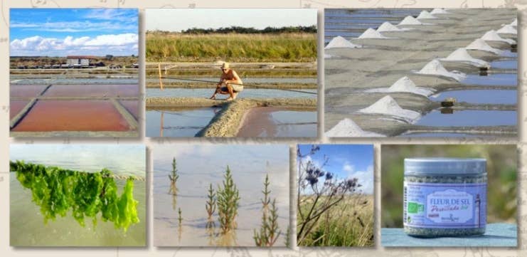 LuxFood-Shop - Wholesale Mustard - Organic homemade mustard 200 g - RIVESALINE2