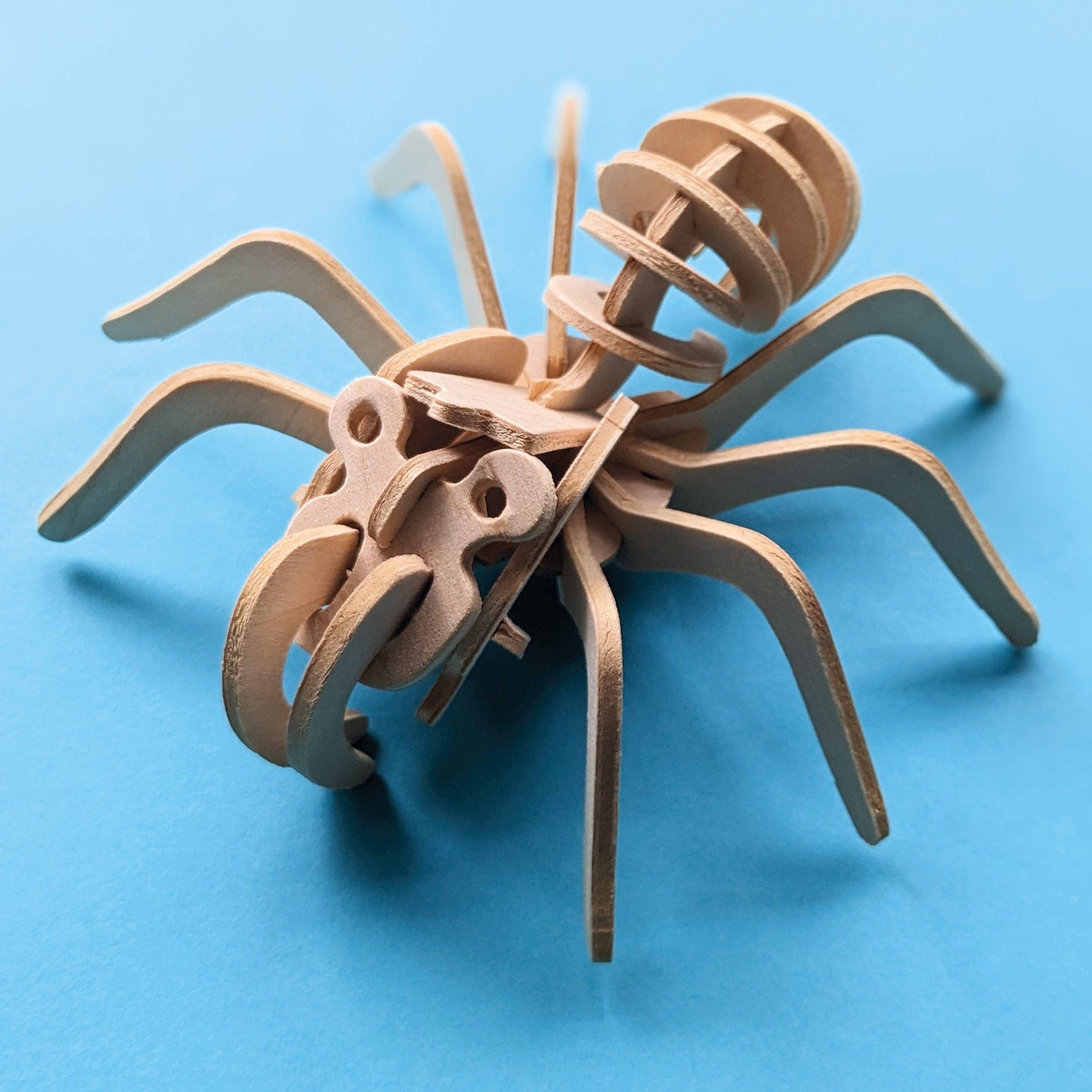 Robert Frederick Ltd – Großhandel Vorschulbuch (3–5 Jahre) – Discover Bugs Pädagogisches Box-Set7