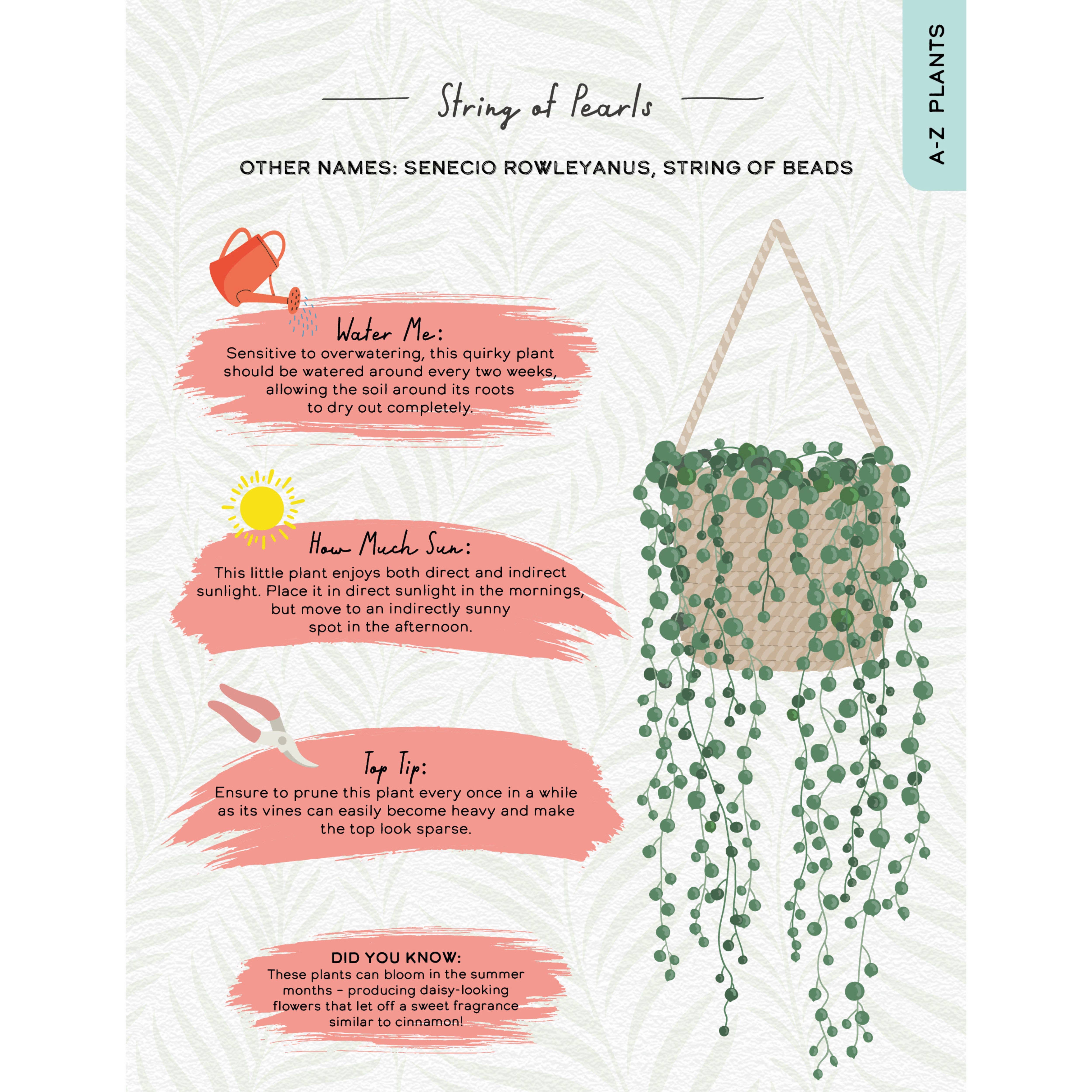 Boxer Gifts - Vente Maison et jardin - S'il vous plaît, ne mourez pas - Guide des plantes d'intérieur pour les mamans de plantes2