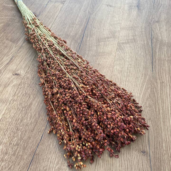 Lovejoy Farms Premium Dried Flowers – wholesale Dried/pressed flowers – Broom Corn
