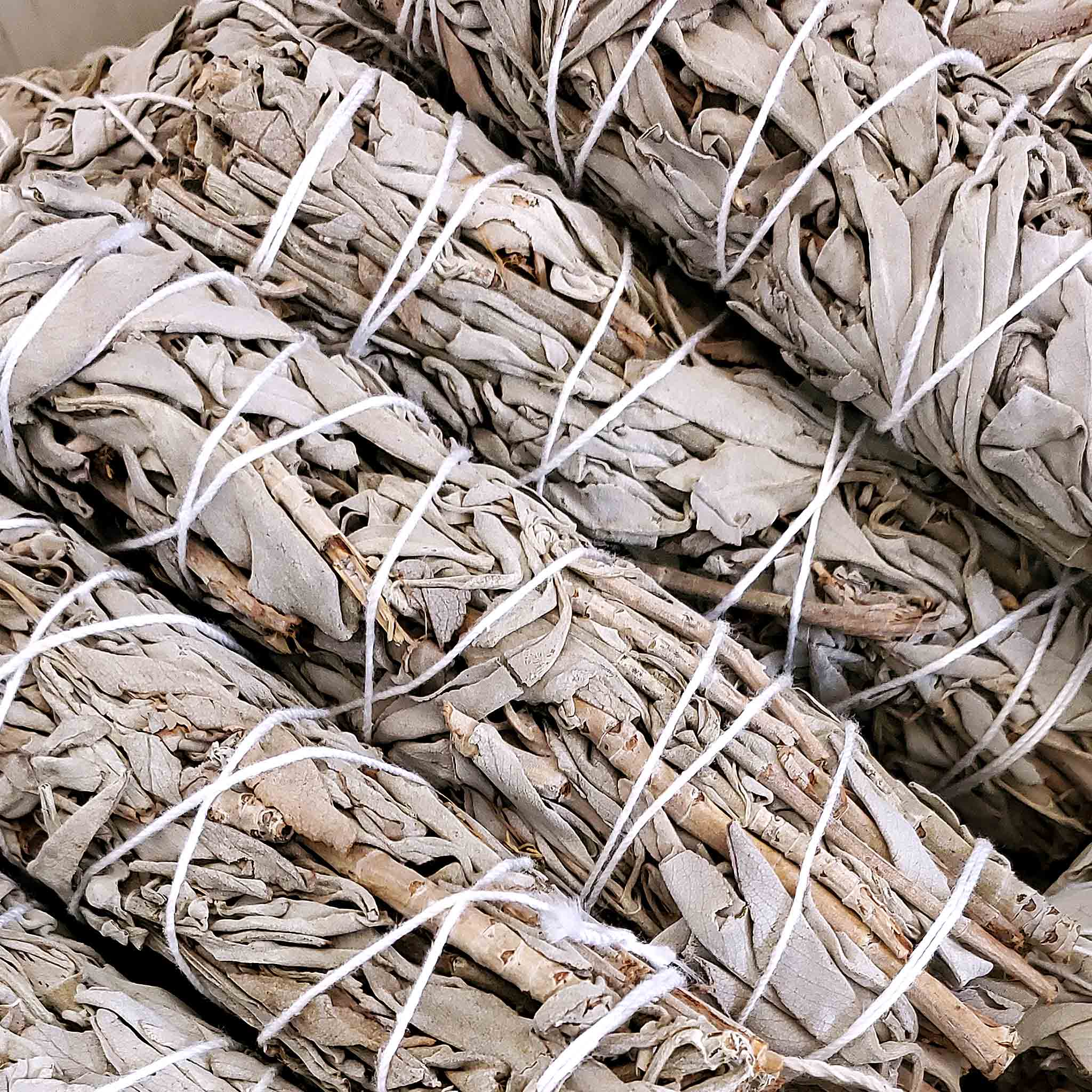 Monague Indigenous Crafts & Gifts - Wholesale Wierrookbundel - Bulk Smudges, 24 stuks0