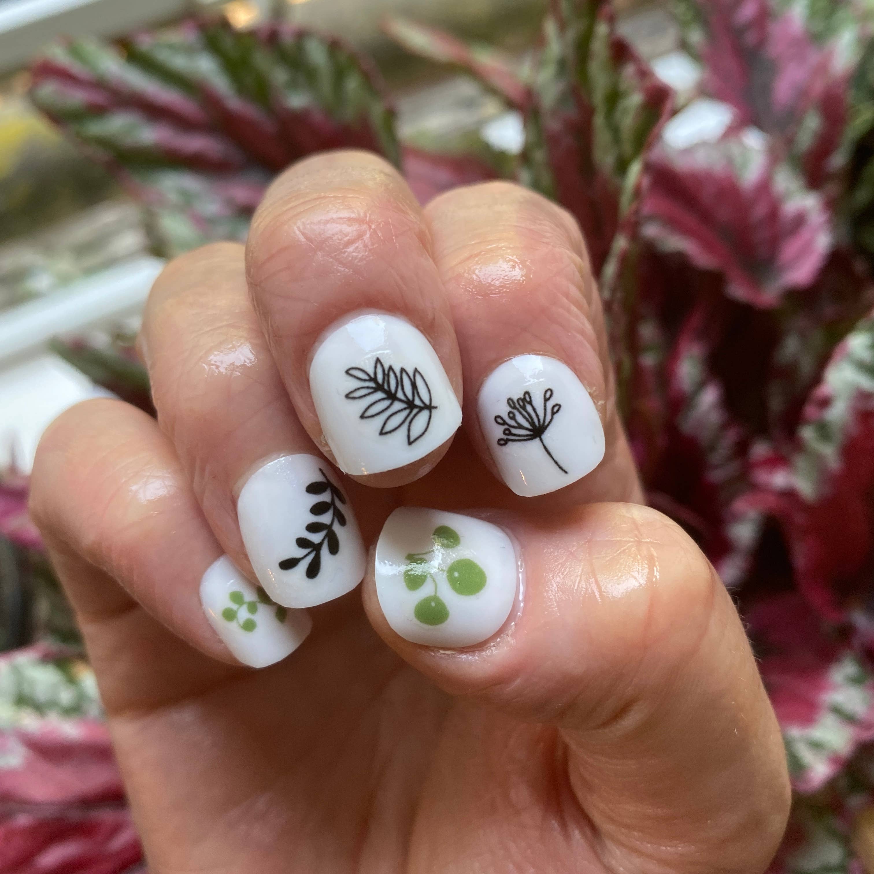 Kate Broughton - Wholesale Nail Art/Decal - Plant Nail Art Transfers1