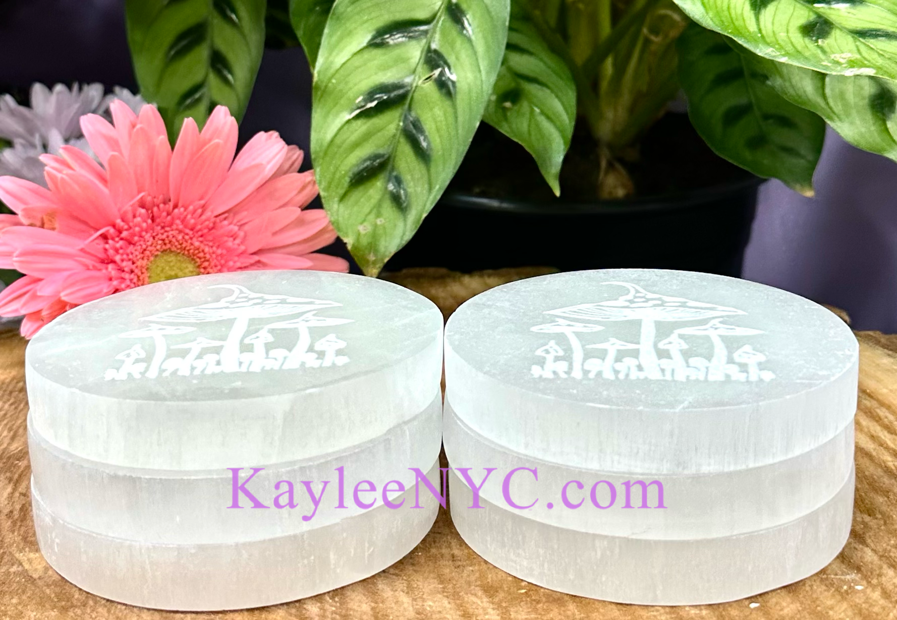 KayleeNYC - Wholesale Crystal Charging Plate - Natural Selenite Satin Spar Mushroom Charging Plate1