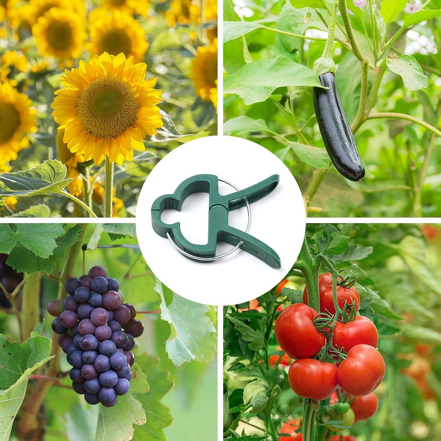 AJ TOYS & GAMES - Wholesale Garden tool - IIT Plant & Garden Clips - 20ct4