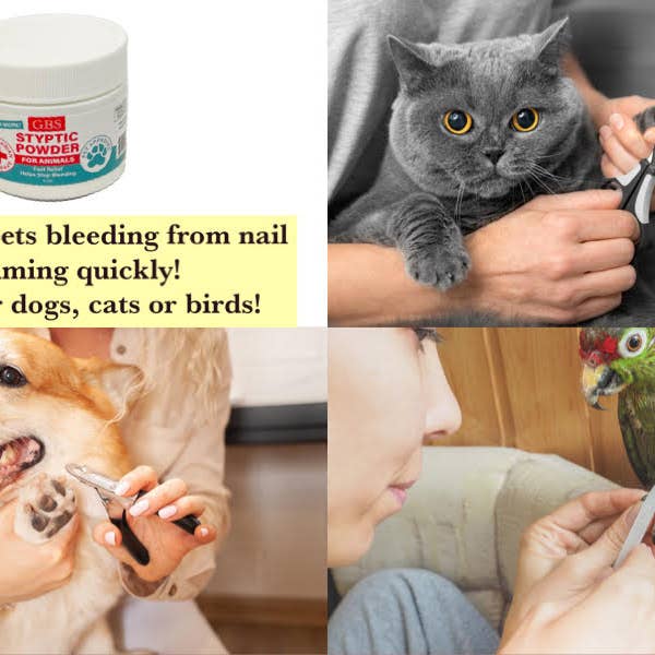 GENTS FINE GROOMING PRODUCTS - Wholesale Pet grooming aid – Dog - GBS Styptic Powder For Animals 5oz Stop Minor Cuts Bleeding4