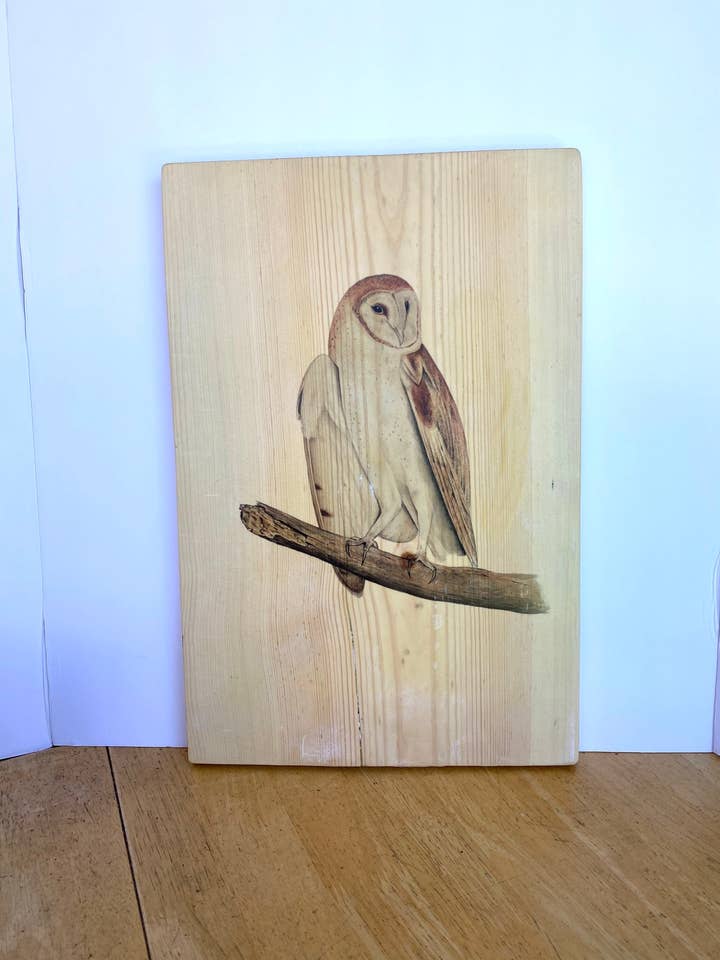 Kerkuilenprint op hout 17 „X 11" voor wholesale door Streetlightbirds