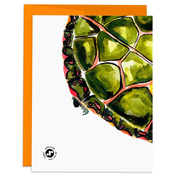 J6R6 - Wholesale Everyday Greeting Card - Painted Turtle Shello Card1