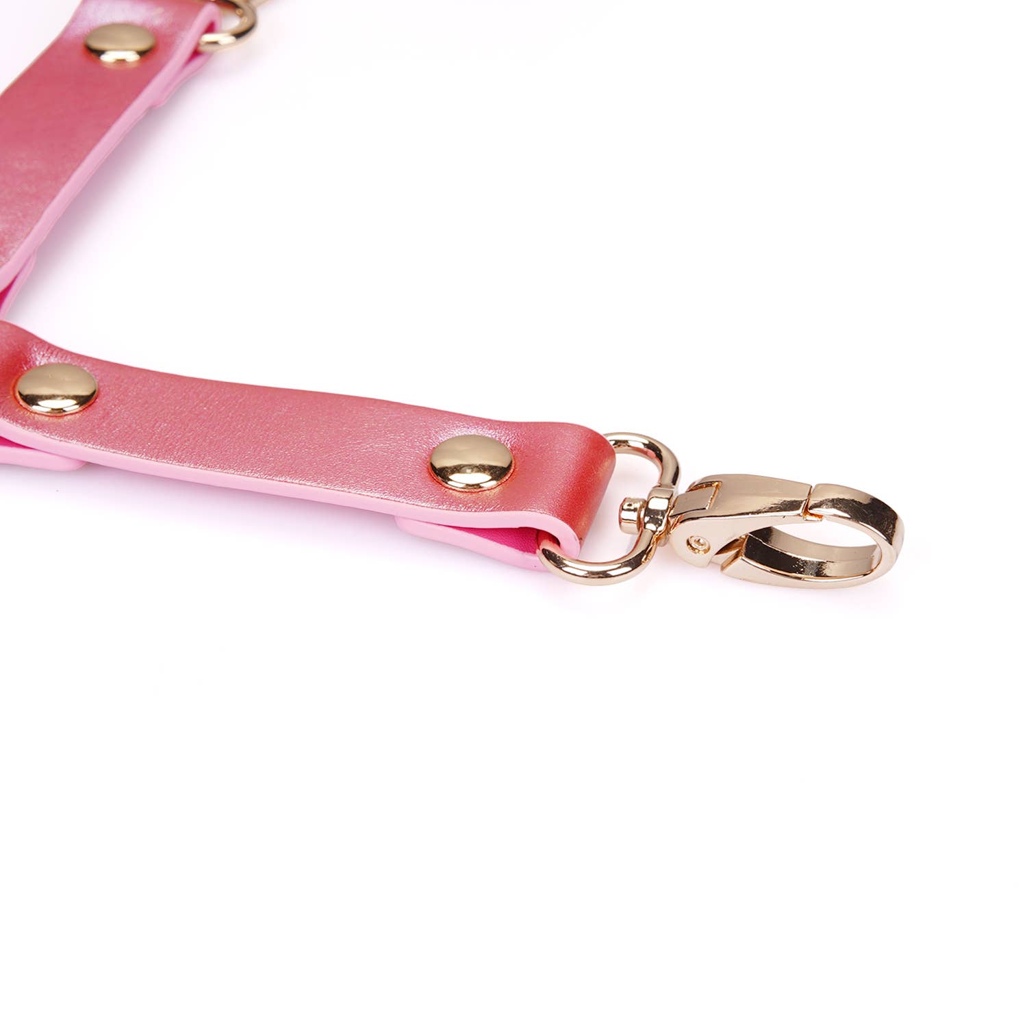 Liebe Seele - Wholesale Sex Toy - Lustre Rosa: Pink Leather Hogtie1