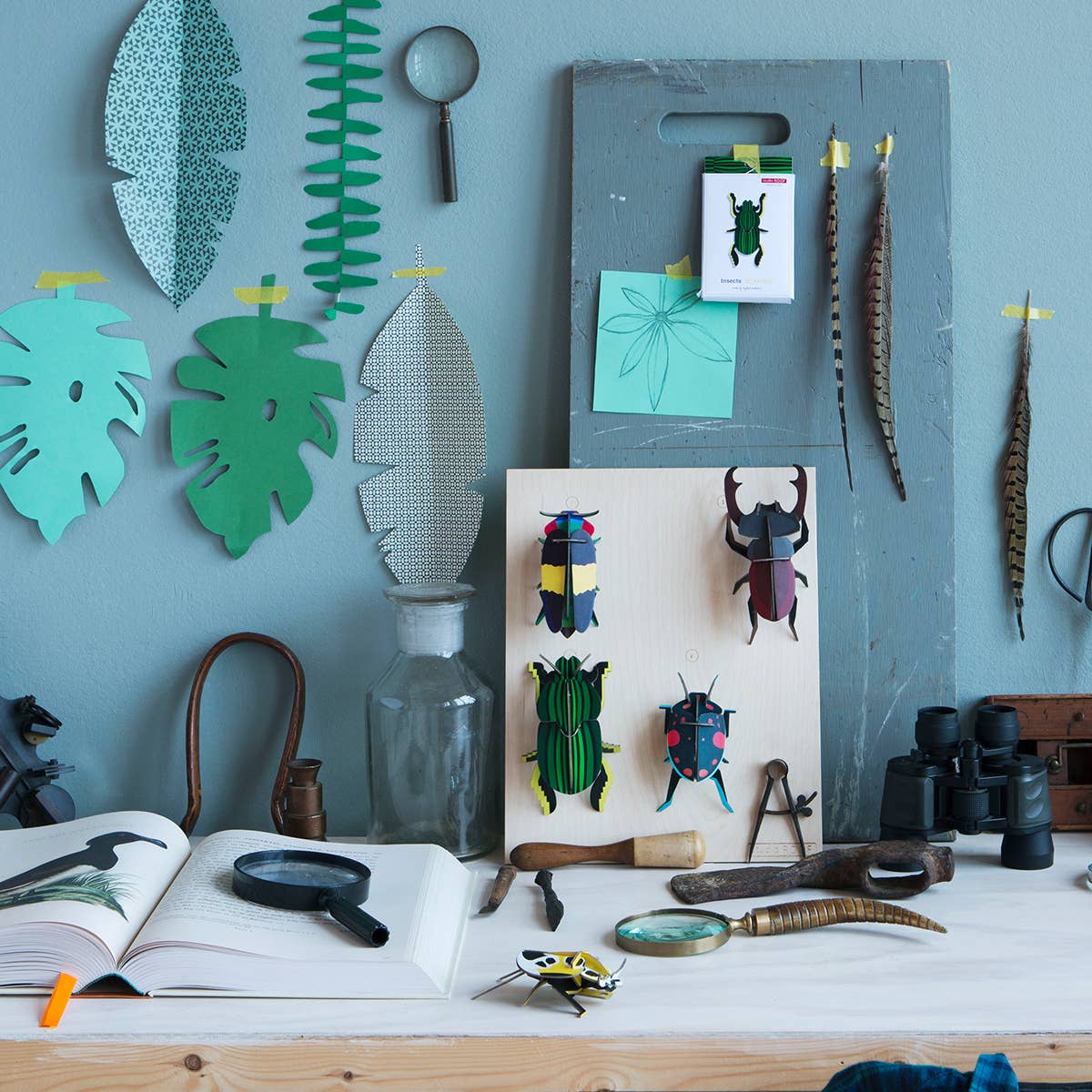 Until Pty Ltd - Wholesale Wall Accent - Studio Roof Wall Art Beetles (B7) Stag Beetle4