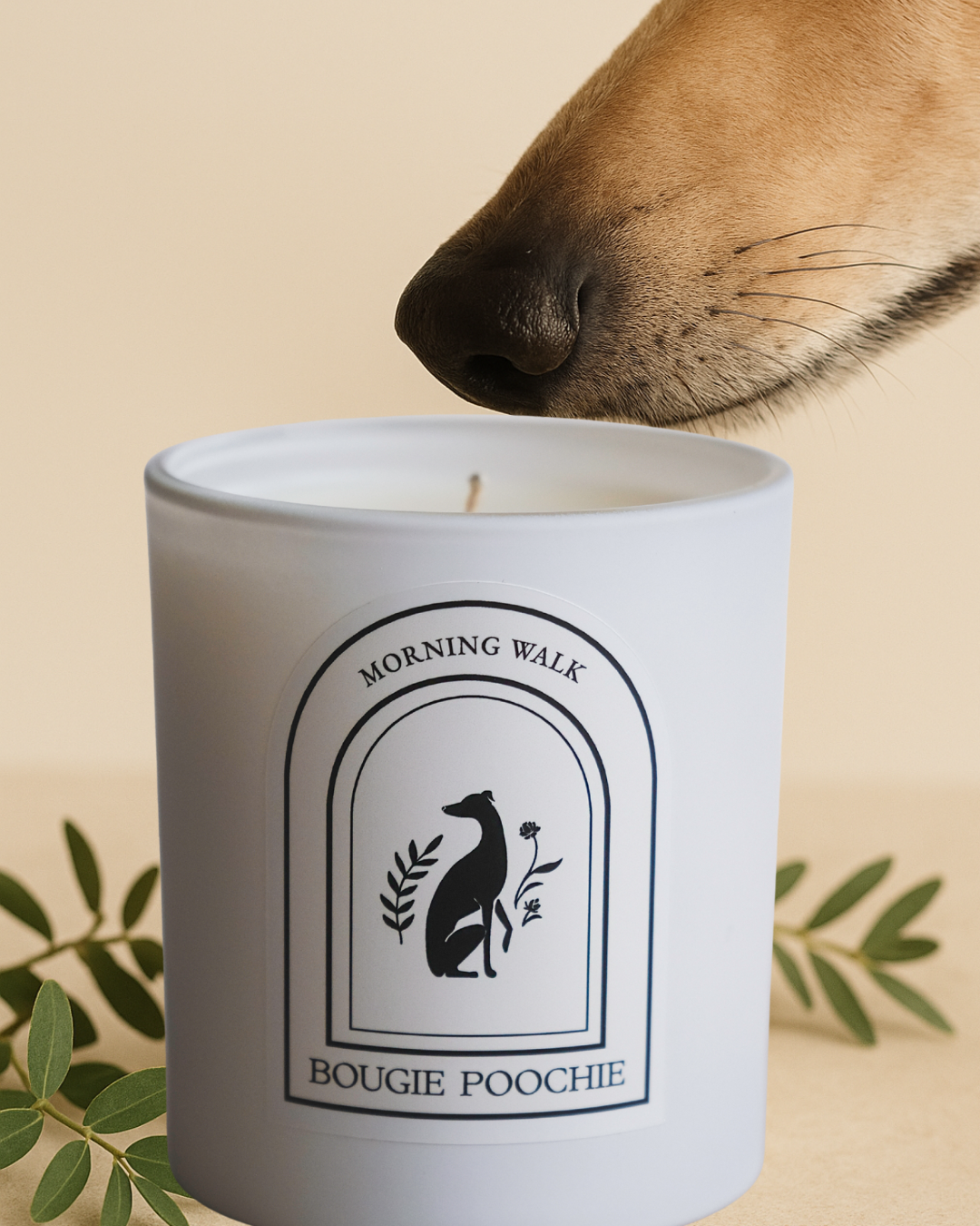 Bougie Poochie LLC - Wholesale Jar/Filled Candle - Morning Walk Candle - Non-Toxic Pet Home Candle1