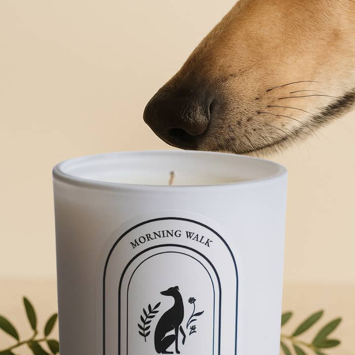 Bougie Poochie LLC - Wholesale Jar/Filled Candle - Morning Walk Candle - Non-Toxic Pet Home Candle1